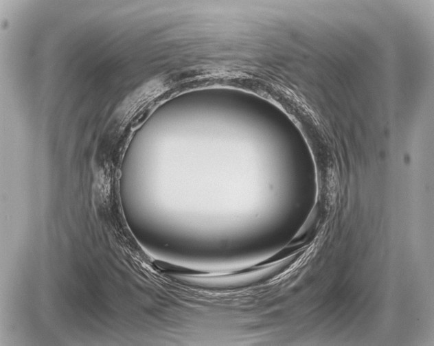 X0000087521257200705041204