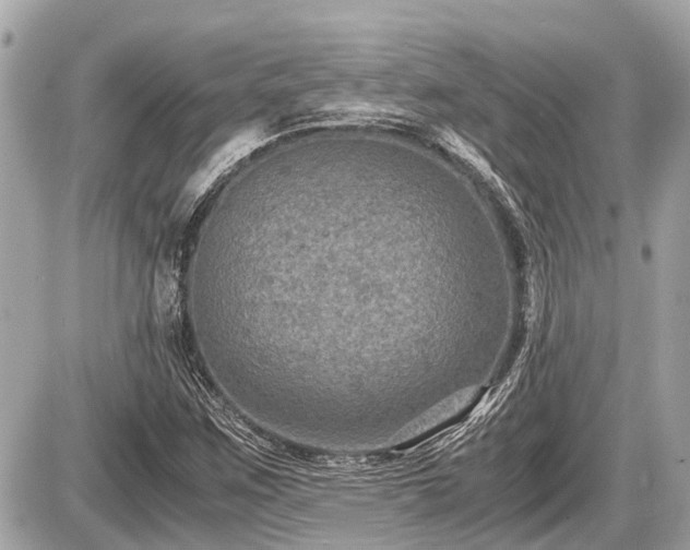 X0000087521259200705041204