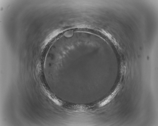 X0000087521263200705041204