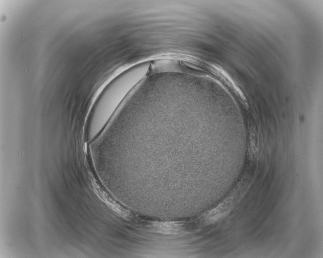 X0000087521276200705041203