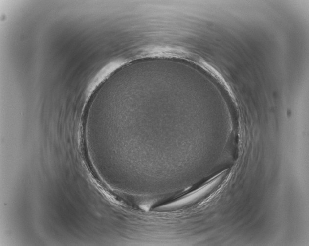 X0000087521277200705041203
