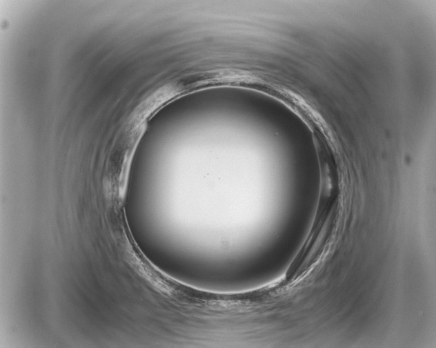 X0000087521281200705041203