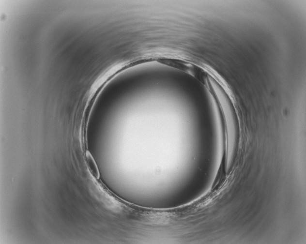 X0000087521293200705041203