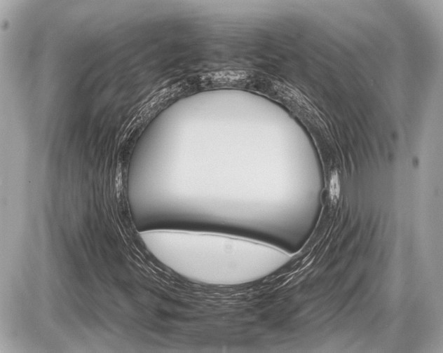 X0000087521299200705041202