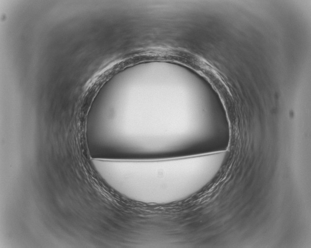 X0000087521304200705041202