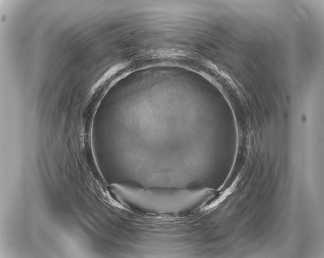 X0000087521306200705041202