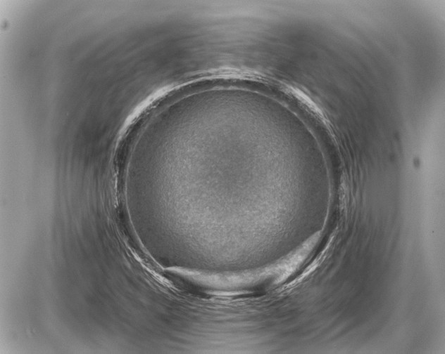 X0000087521310200705041202