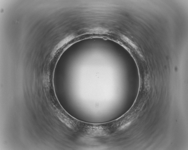 X0000087521315200705041202