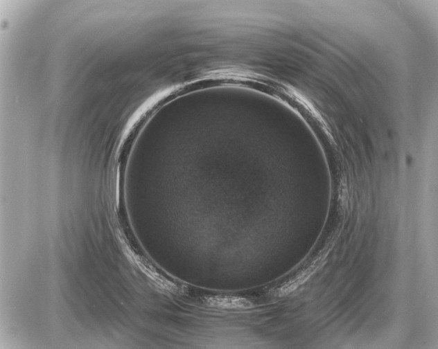 X0000087521323200705041203