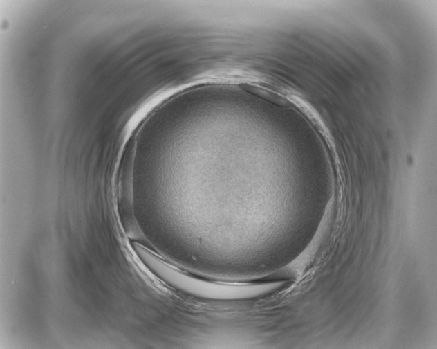 X0000087521344200705041203