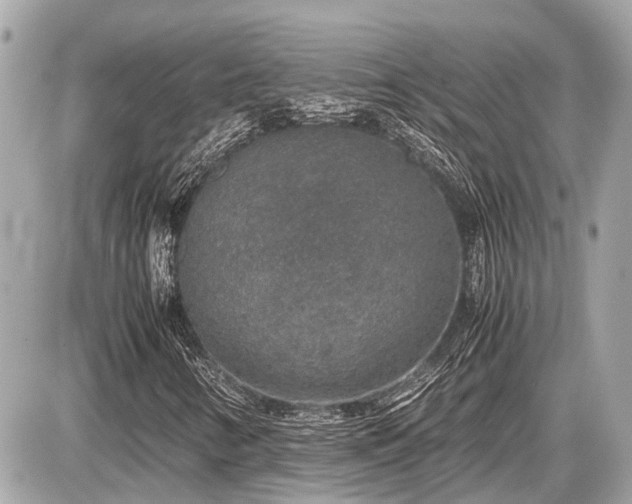 X0000087521346200705041202