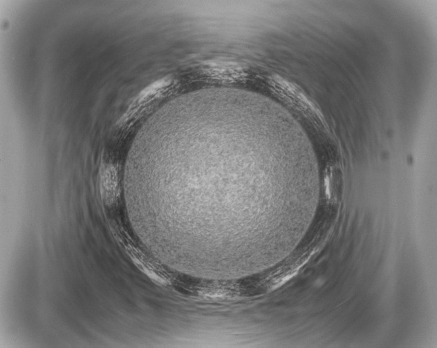 X0000087521347200705041202