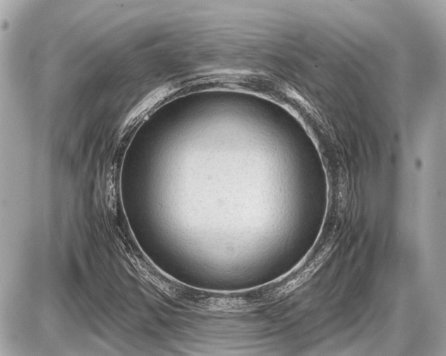 X0000087521354200705041202