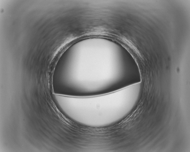 X0000087521356200705041202