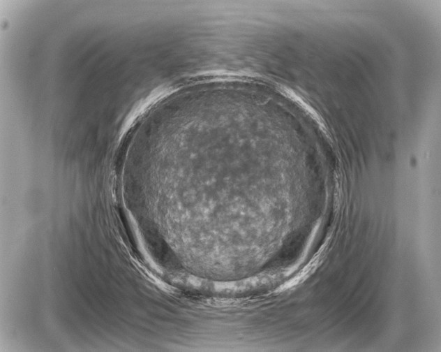 X0000087521357200705041202