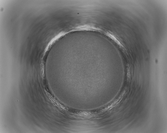 X0000087521358200705041202