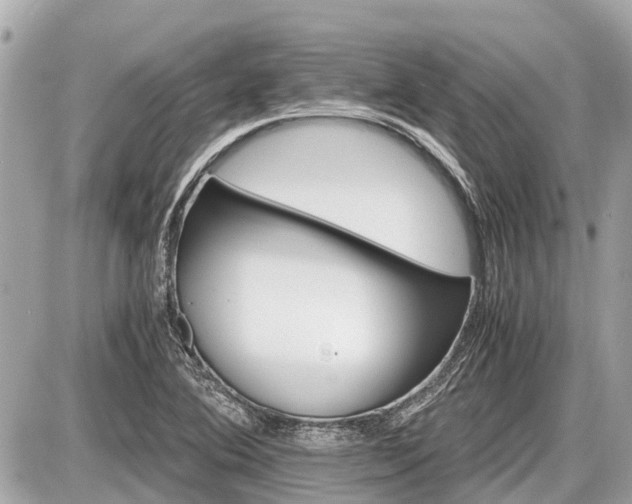 X0000087521364200705041202