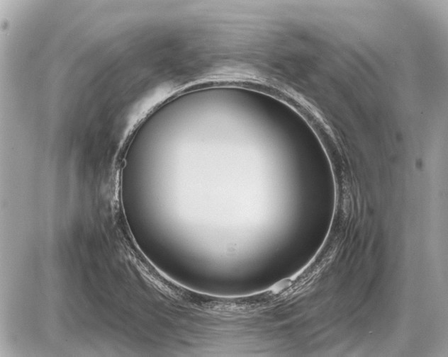 X0000087521366200705041202