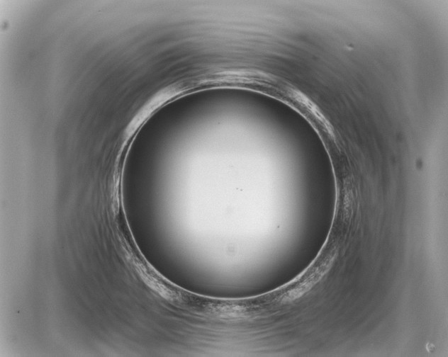 X0000087521370200705041202
