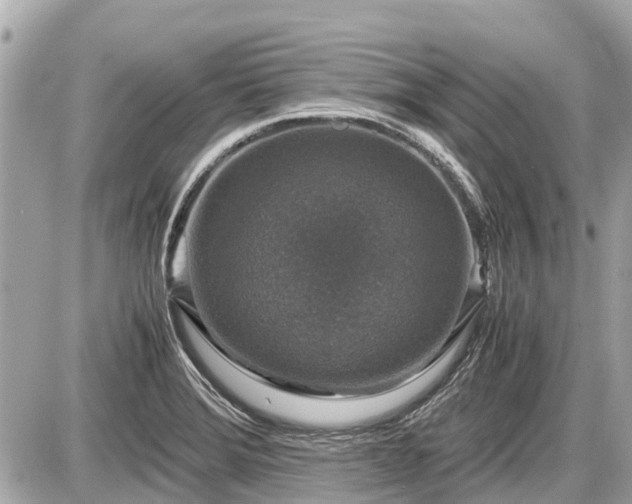 X0000087521372200705041202
