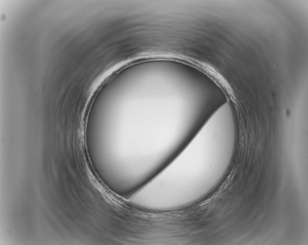 X0000087521380200705041202