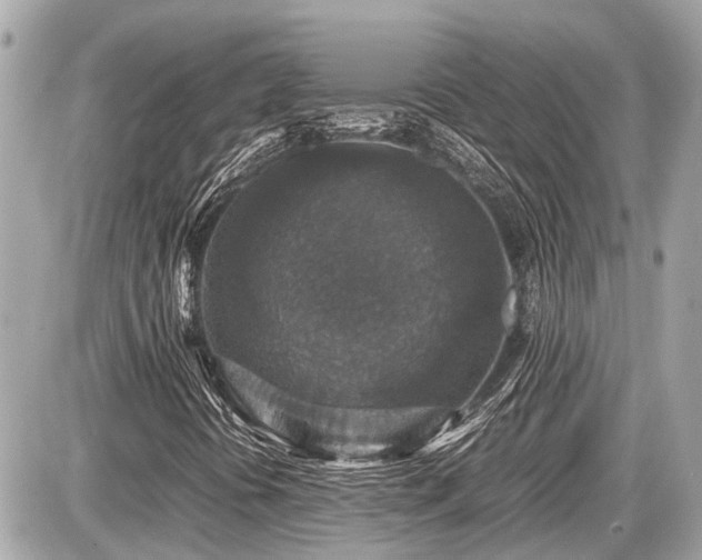X0000087521394200705041201