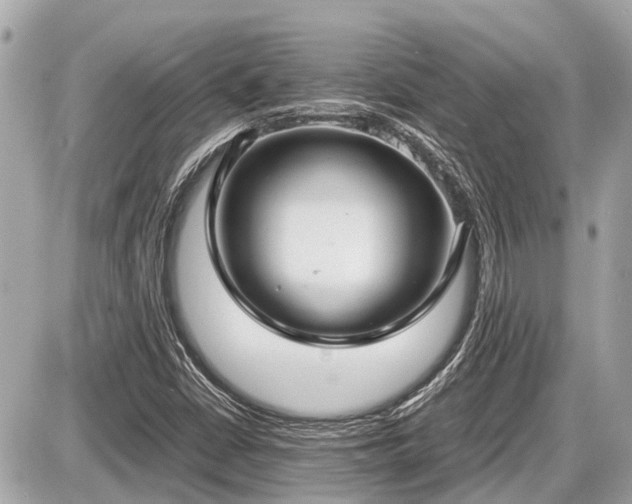 X0000087521402200705041201