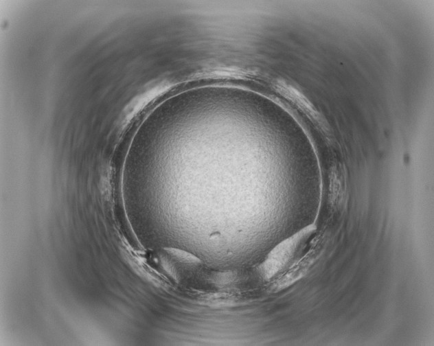 X0000087521404200705041201