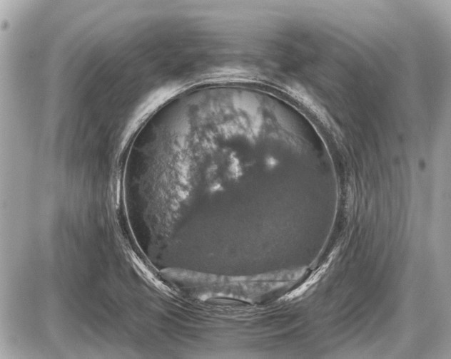 X0000087521413200705041201