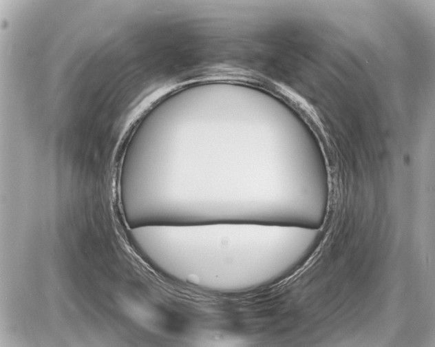 X0000087521415200705041201