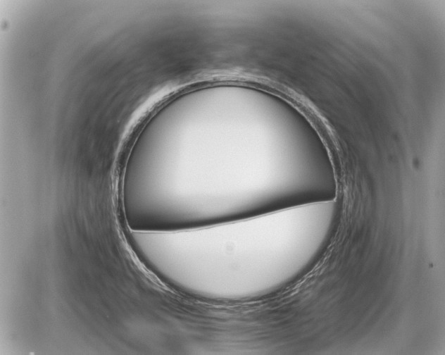X0000087521416200705041201