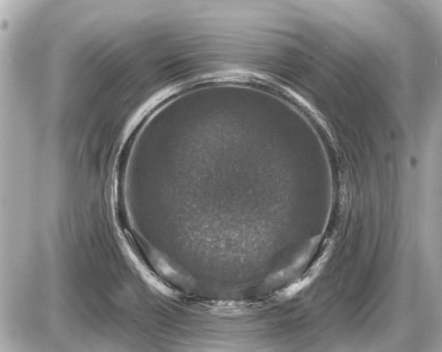 X0000087521418200705041201