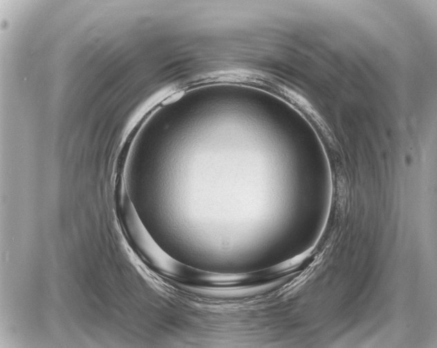 X0000087521426200705041201
