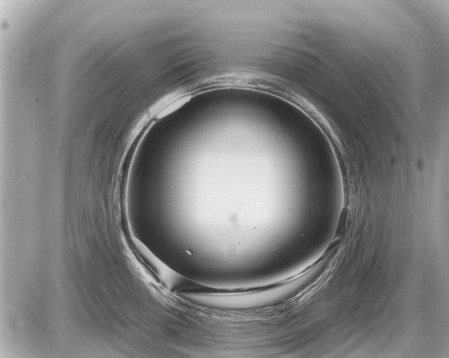 X0000087521434200705041201