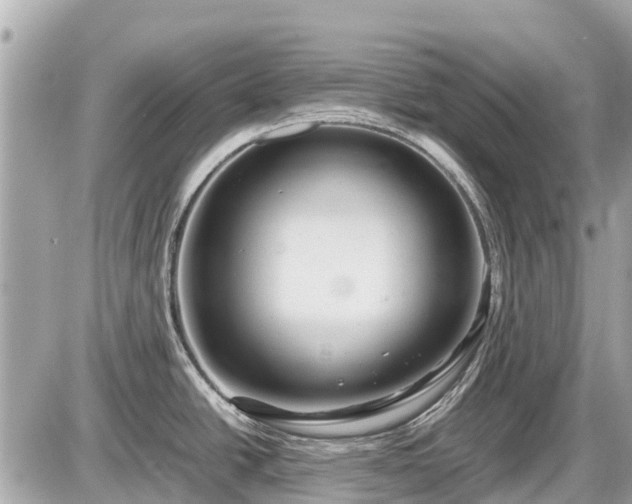 X0000087521438200705041201