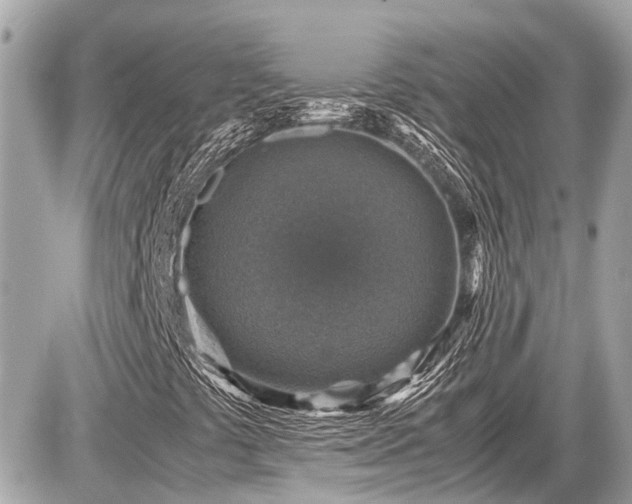 X0000087521441200705041201
