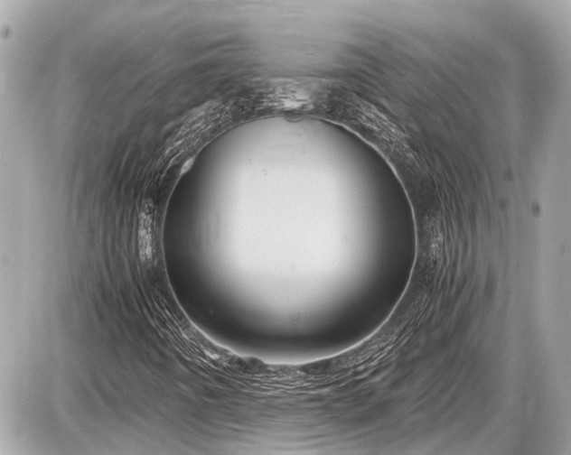 X0000087521442200705041201