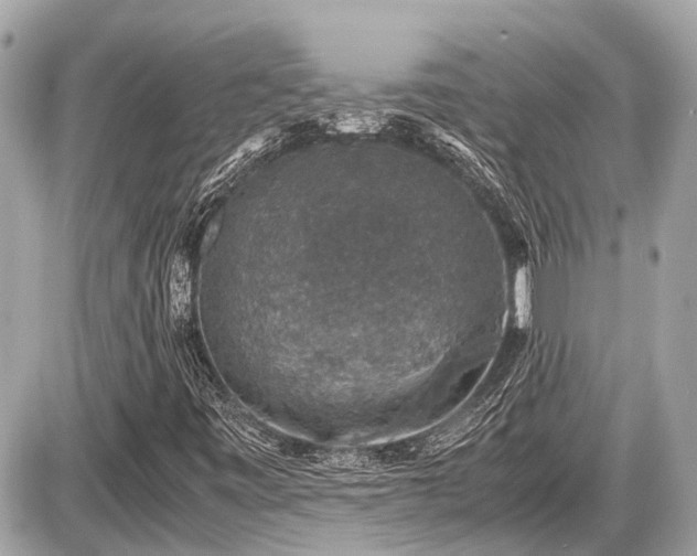 X0000087521443200705041201