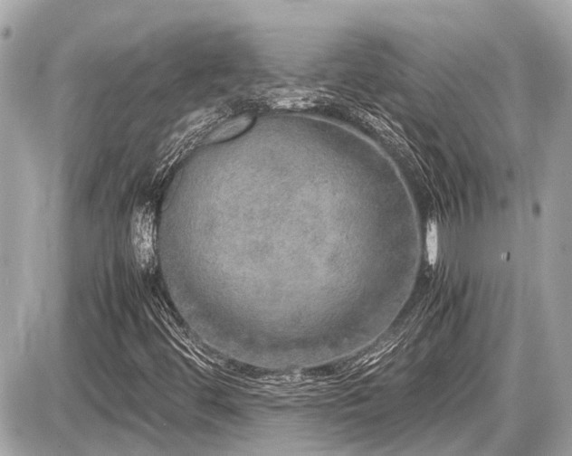 X0000087521444200705041201