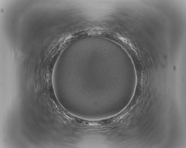 X0000087521445200705041201
