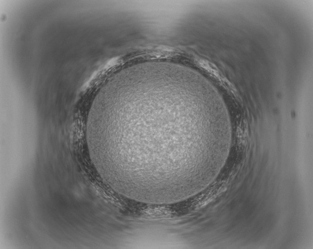 X0000087521447200705041201