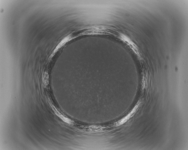 X0000087521449200705041200