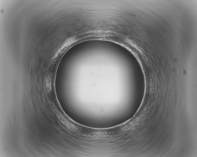 X0000087521451200705041200