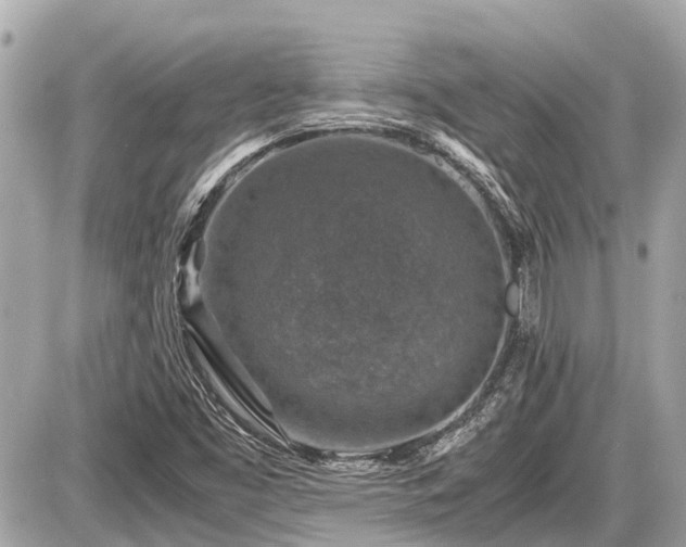X0000087521453200705041200