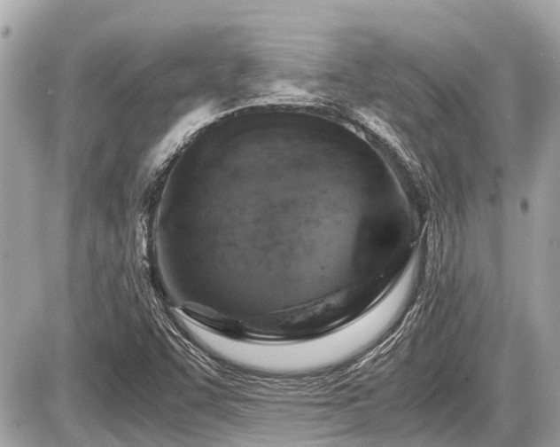 X0000087521455200705041200
