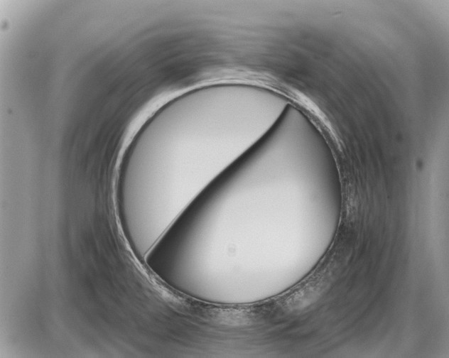 X0000087521472200705041200