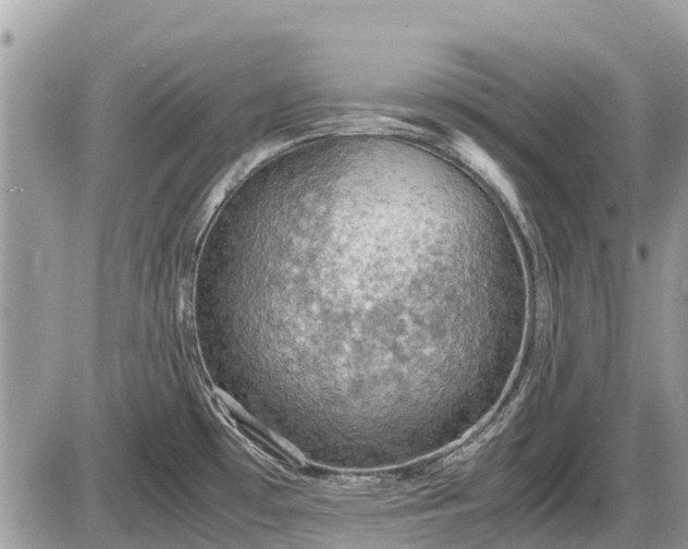 X0000087521481200705041200
