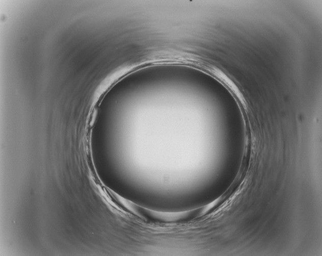 X0000087521485200705041200