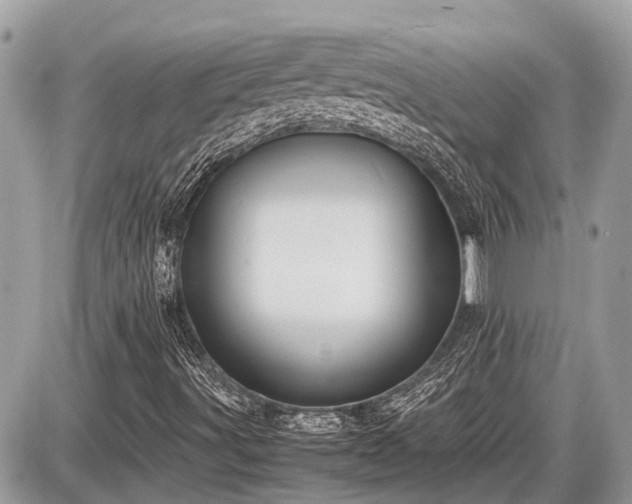 X0000087521491200705041159
