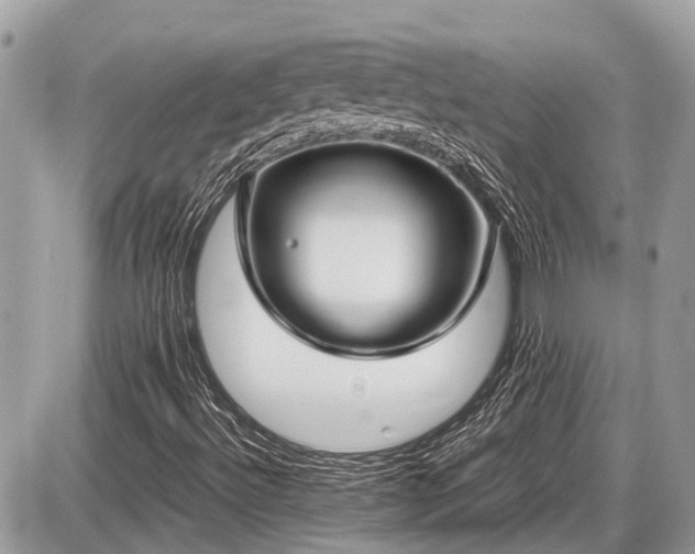 X0000087521492200705041159